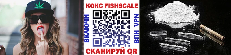Купить закладки Олёкминск COCAIN FishScale