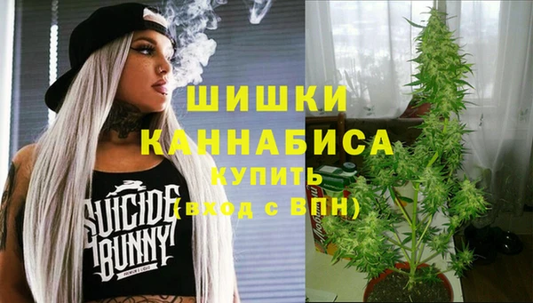 дмт Горнозаводск