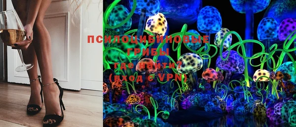 дмт Горнозаводск