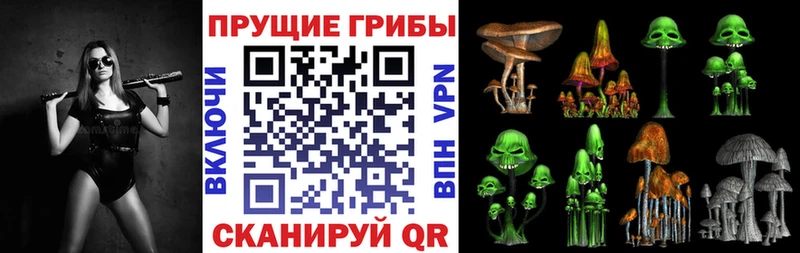 Купить закладки  Олёкминск  Галлюциногенные грибы MAGIC MUSHROOMS 